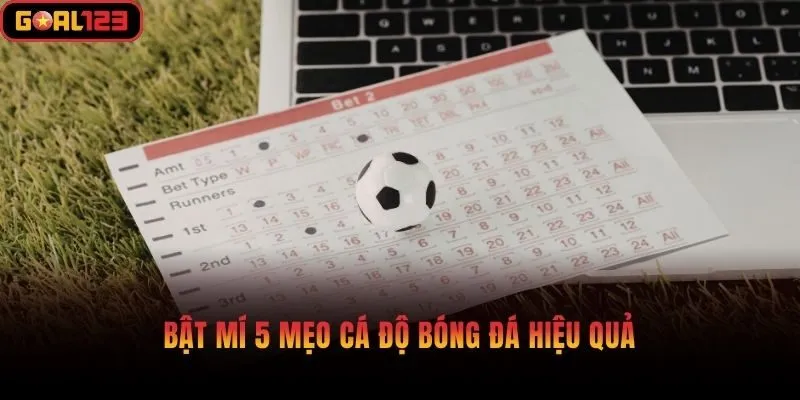 Bật mí 5 mẹo cá độ bóng đá hiệu quả