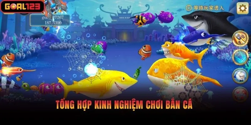 Tổng hợp kinh nghiệm chơi bắn cá 